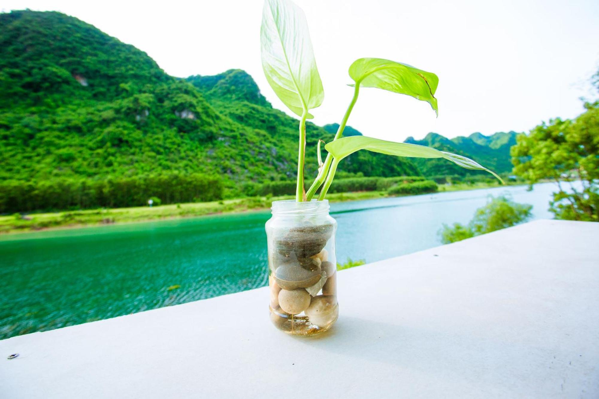 Phong Nha A Little Leaf Homestay מראה חיצוני תמונה