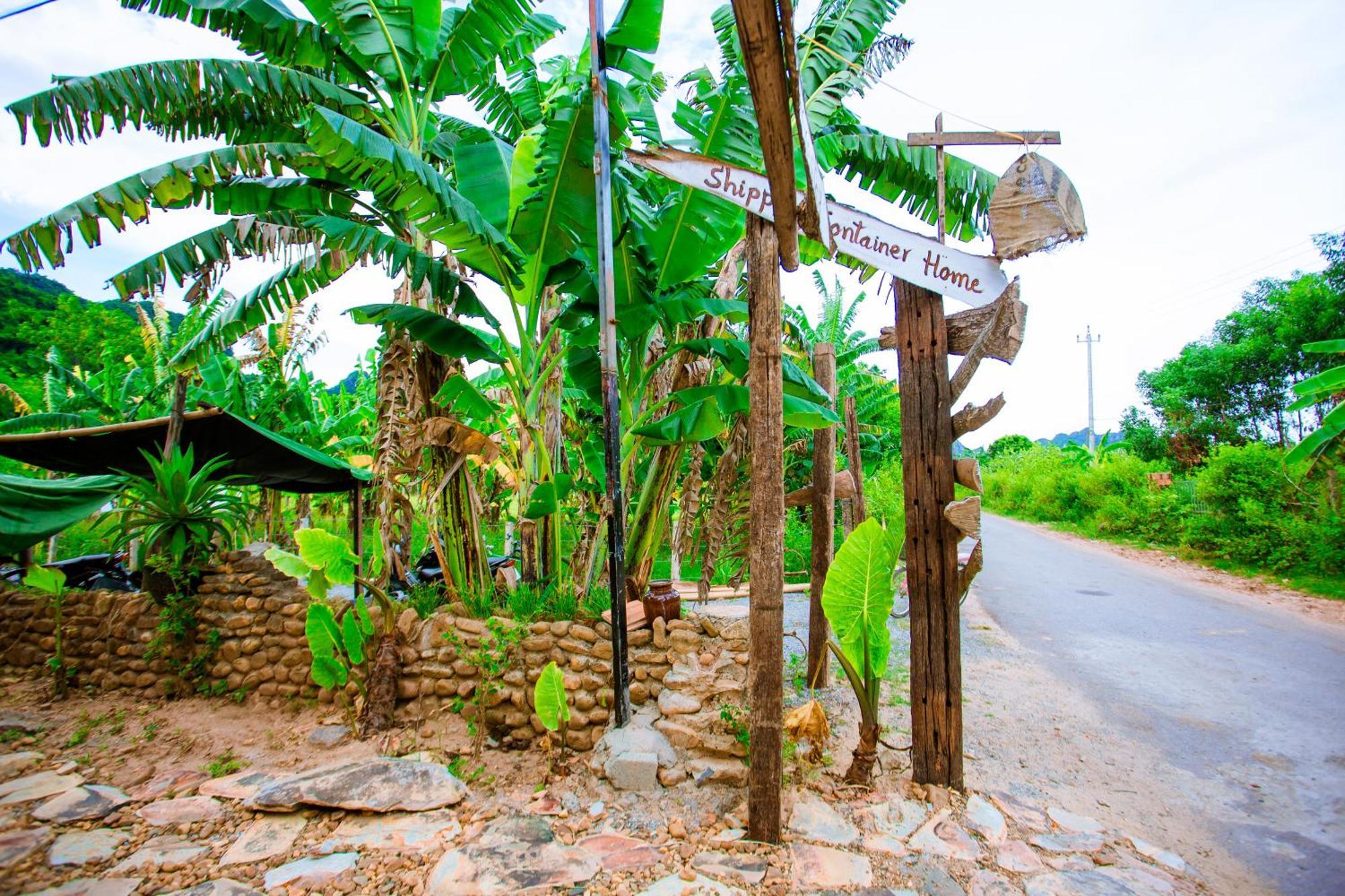Phong Nha A Little Leaf Homestay מראה חיצוני תמונה