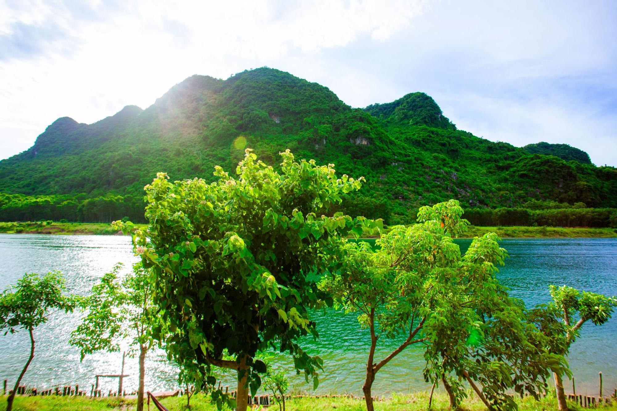 Phong Nha A Little Leaf Homestay מראה חיצוני תמונה