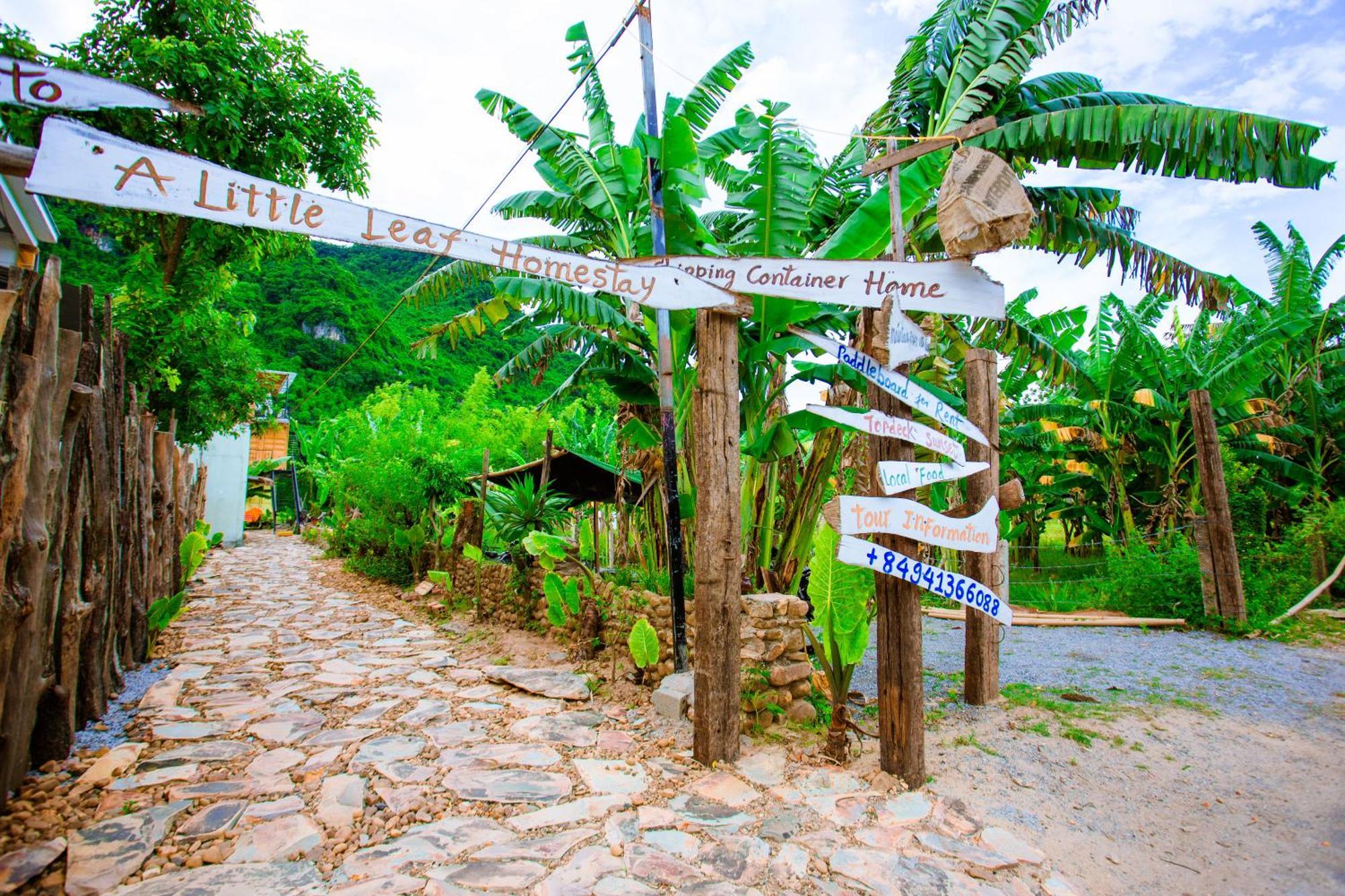 Phong Nha A Little Leaf Homestay מראה חיצוני תמונה